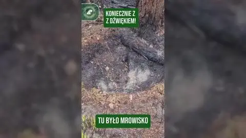 Klatka kluczowa-428746