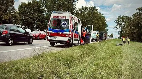 Kołbaskowo. Zatrzymano pięciu migrantów