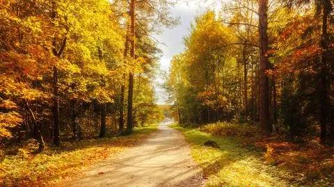 Pogoda na jutro - wtorek, 8.10. Wreszcie będzie ciepło i słonecznie
