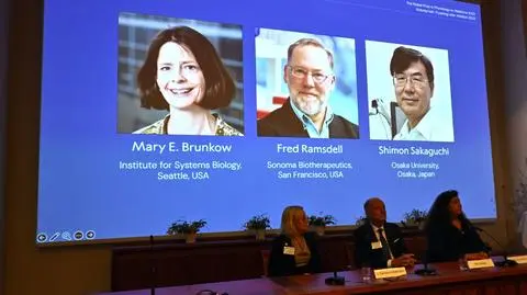 Mary E. Brunkow, Fred Ramsdell i Shimon Sakaguchi