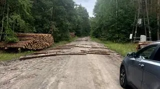 Uciekający mężczyźni chcieli spowolnić policjantów rozkładając po drodze kłody drewna 