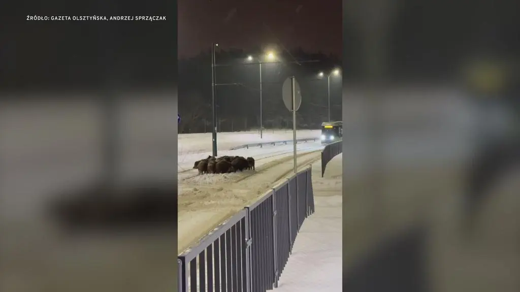 Klatka kluczowa-165955