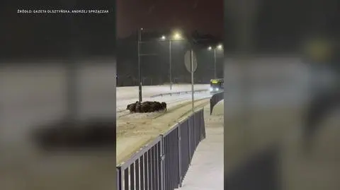 Klatka kluczowa-165955