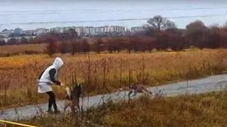 Pies zaatakował parę z psem