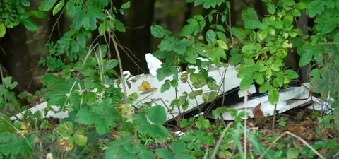 Usłyszał pytanie, czy już się pakują. Gdzie kończy się patriotyzm, a zaczyna zdrada?