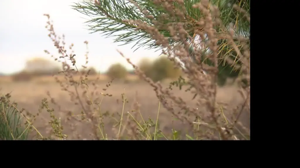 3010N066X DZIALKOWCY