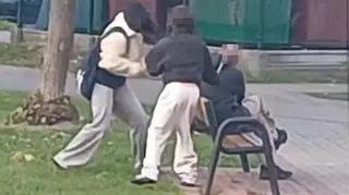 Zaatakowały mężczyznę siedzącego na ławce 