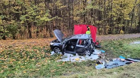 "W naszym kraju ludzkie losy zastępuje się statystyką"