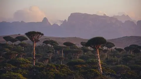 shutterstock_2240510371_1