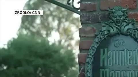cnn