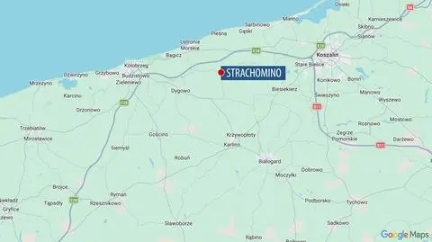 Strachomino. Ostrzeżenie przed dzikim kotem