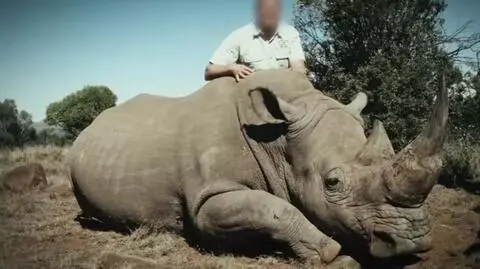 Znikały zaraz po przylocie do Polski. To przykuło uwagę śledczych
