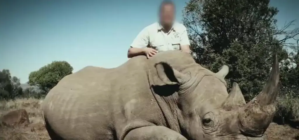 Znikały zaraz po przylocie do Polski. To przykuło uwagę śledczych