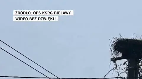 bielawy
