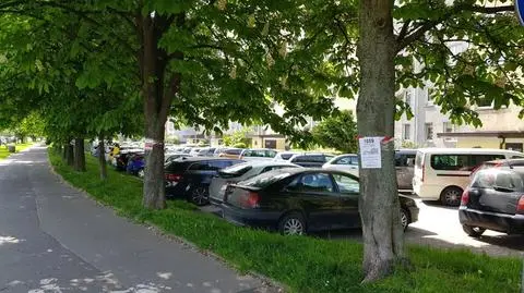 Ponad tysiąc drzew do ścięcia. "Szaleństwo", "betonowa pustynia"
