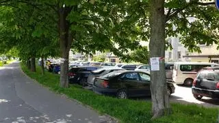 Wycinka ponad tysiąca drzew pod budowę linii tramwajowej. Protest mieszkańców