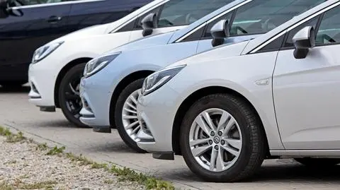 shutterstock_1202406175_1