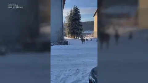 Klatka kluczowa-155206