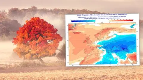 meteo 16