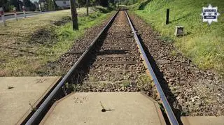 Mężczyzna próbował zatrzymać pociąg