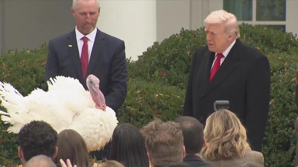 Klatka kluczowa-53849