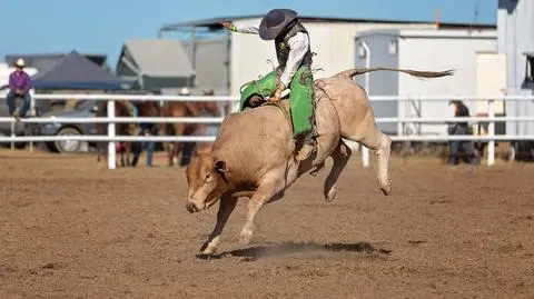 Nie będzie zapowiadanego rodeo w Gliwicach (zdjęcie ilustracyjne)