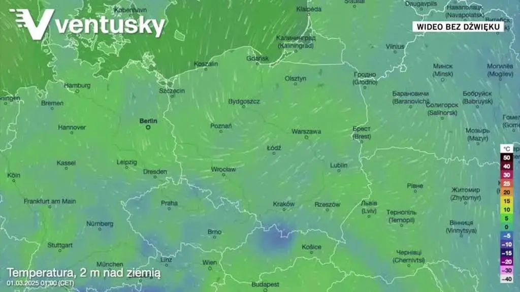 Prognozowana temperatura w najbliższych dniach