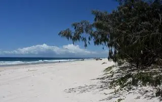 Plaża w Woorim, stan Queensland w Australii