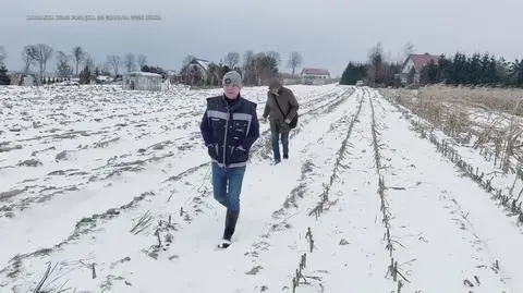 Klatka kluczowa-298599