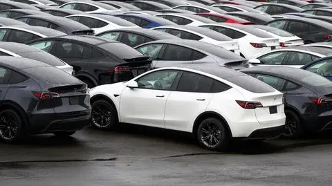 shutterstock_2586574153