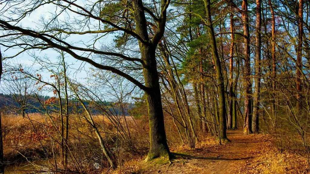 Pogoda na weekend. Jak ciepło będzie