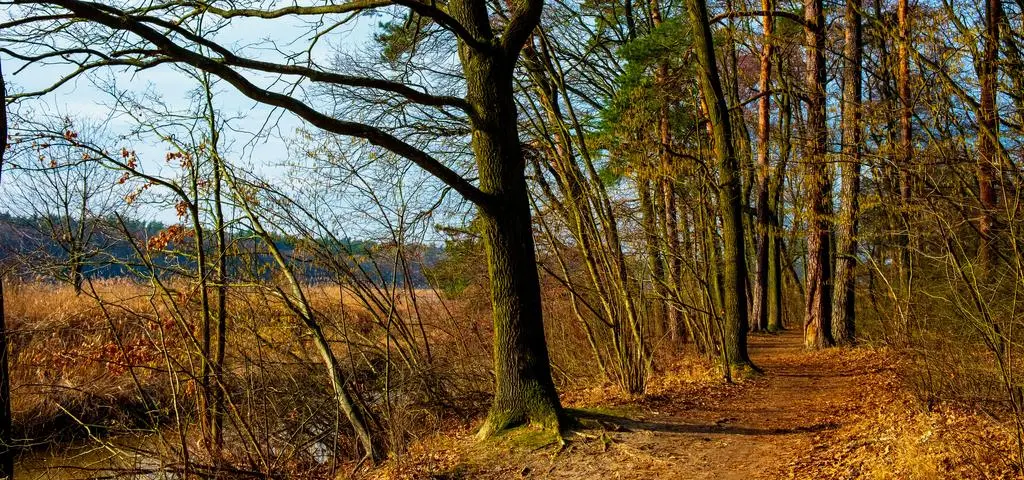 Pogoda na weekend. Jak ciepło będzie