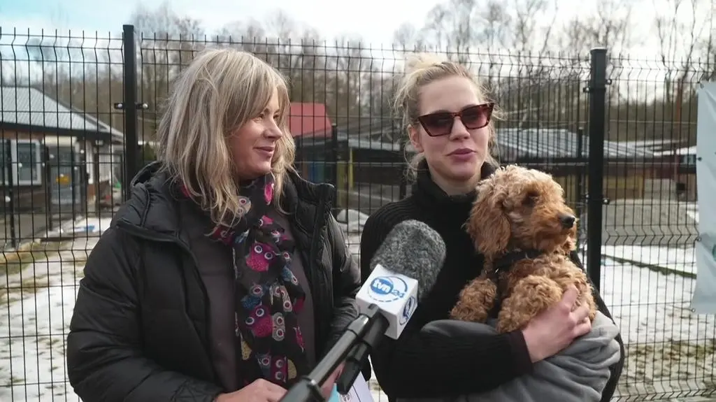 Klatka kluczowa-223314