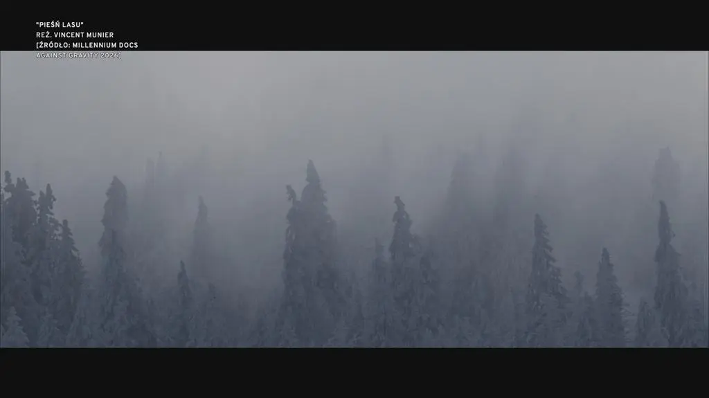 Klatka kluczowa-381872