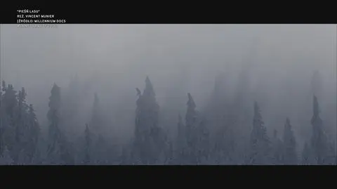 Klatka kluczowa-381872