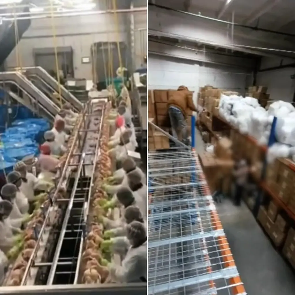 Praca Kolubijczyków