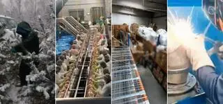 Zobacz, co robią "misjonarze" z Kolumbii w Polsce