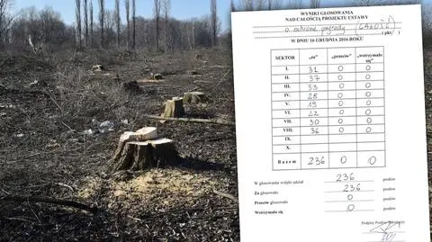 Ustawa dot. wycinki drzew została przyjęta podczas głosowania w Sali Kolumnowej