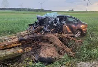 Przód samochodu zmiażdżony, drzewo wyrwane z korzeniami. Nie żyje 28-latek