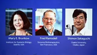
Mary E. Brunkow, Fred Ramsdell, Shimon Sakaguchi