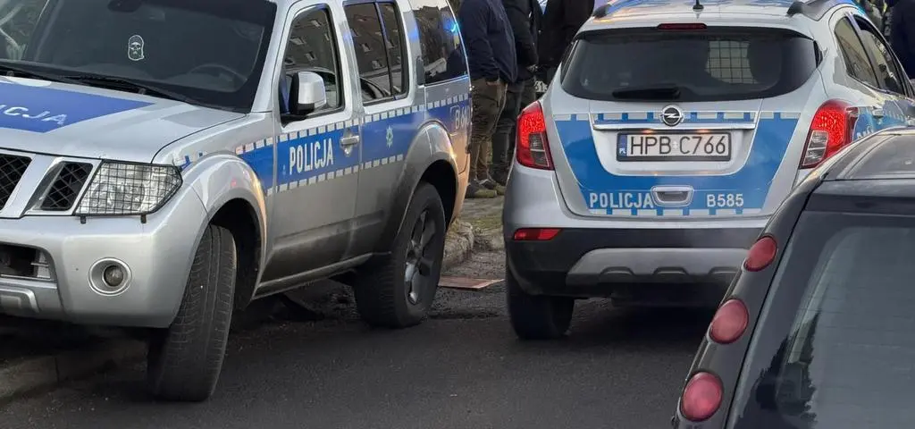 Nie żyje 12-letnia dziewczynka. Policja podejrzewa zabójstwo