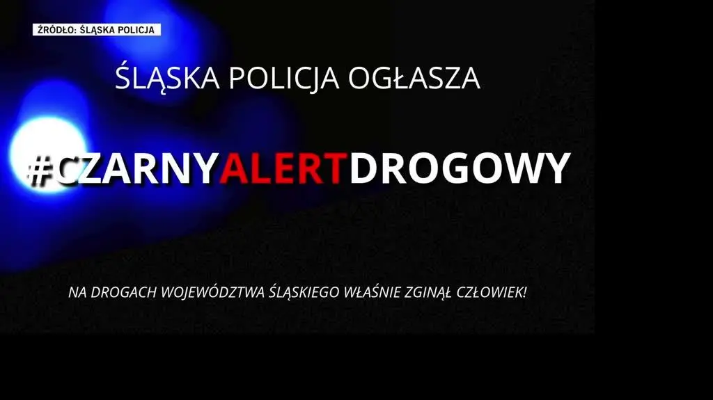 Śląska Policja 
