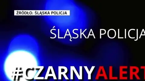 Śląska Policja 