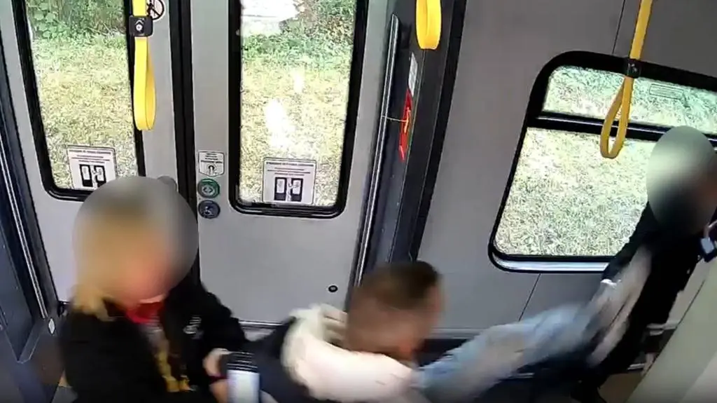 Zaatakował konduktorkę w pociągu Kolei Dolnośląskich