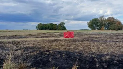 Tragedia na polu pod Wieluniem