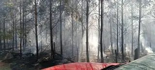 Największe pożary objęły około 25 arów terenów leśnych