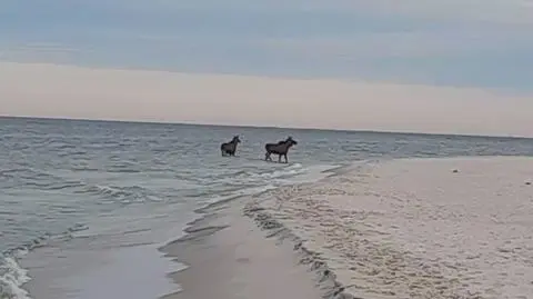 Klatka kluczowa-372451