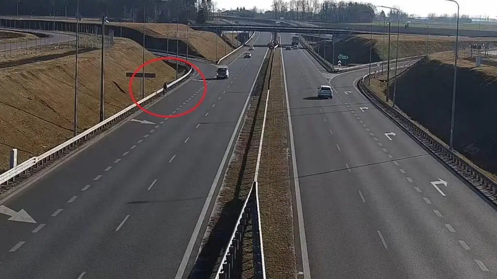 Rowerzysta jechał drogą ekspresową S19