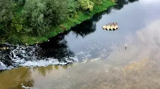 Sprawę wyjaśnia WIOŚ