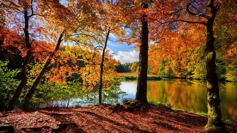 Polska złota jesień 